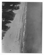 Aerial view of a green space and beach