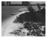 View of small island in Biscayne Bay