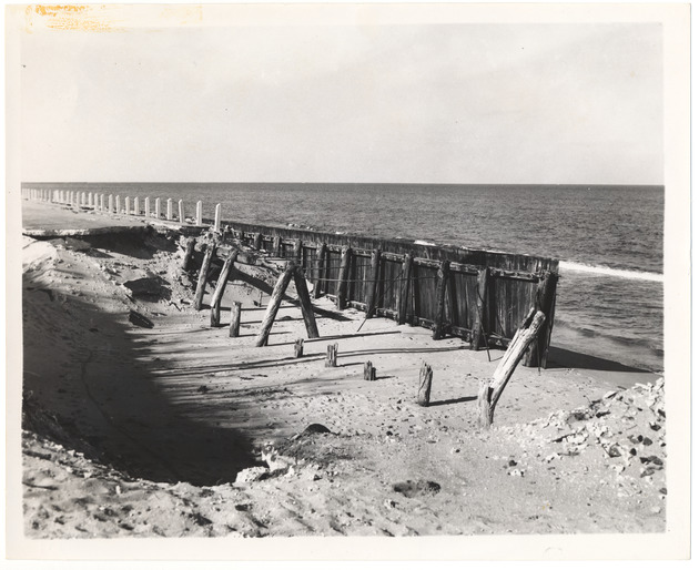 Timber bulkhead failure at Palm Beach - 