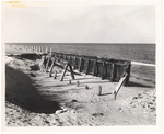 Timber bulkhead failure at Palm Beach