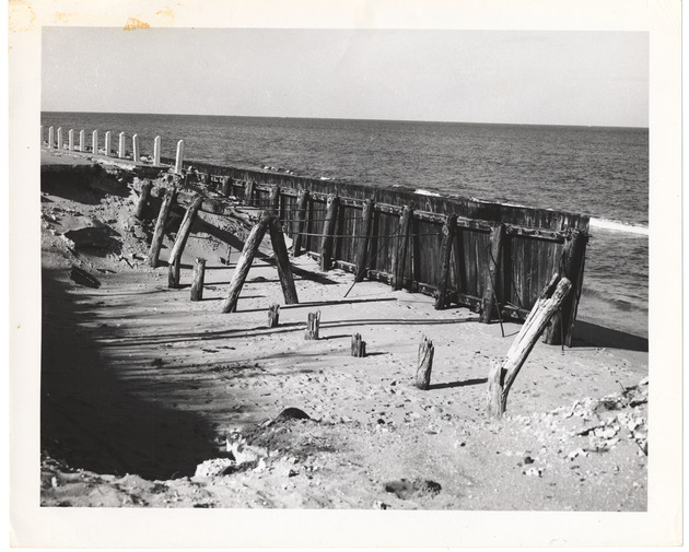 Timber bulkhead failure at Palm Beach - Recto