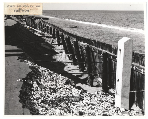 Timber bulkhead failure at Palm Beach - Recto