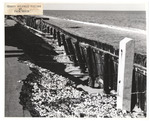 Timber bulkhead failure at Palm Beach