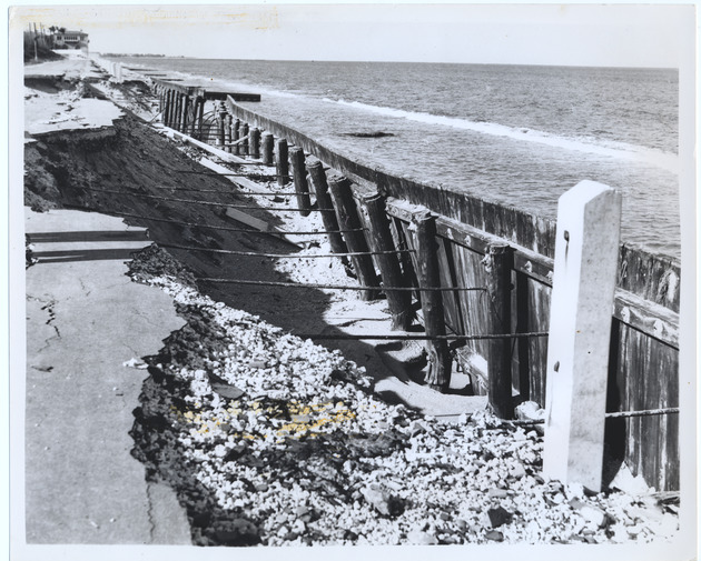 Timber bulkhead failure at Palm Beach - Recto