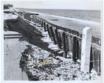Timber bulkhead failure at Palm Beach