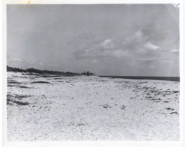 View of sandy area - Recto