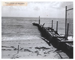 Timber groyne at Hollywood