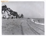 Hollywood Beach