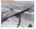 Steel groyne with concrete encasement to sand abrasion at Palm Beach