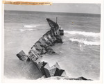 Failure of wing braced groyne at Miami Beach