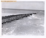 Wing braced groyne at Miami Beach