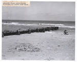Creosoted timber deterioration in 20-year old groyne Miami Beach