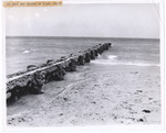 20-year old groyne at Miami Beach