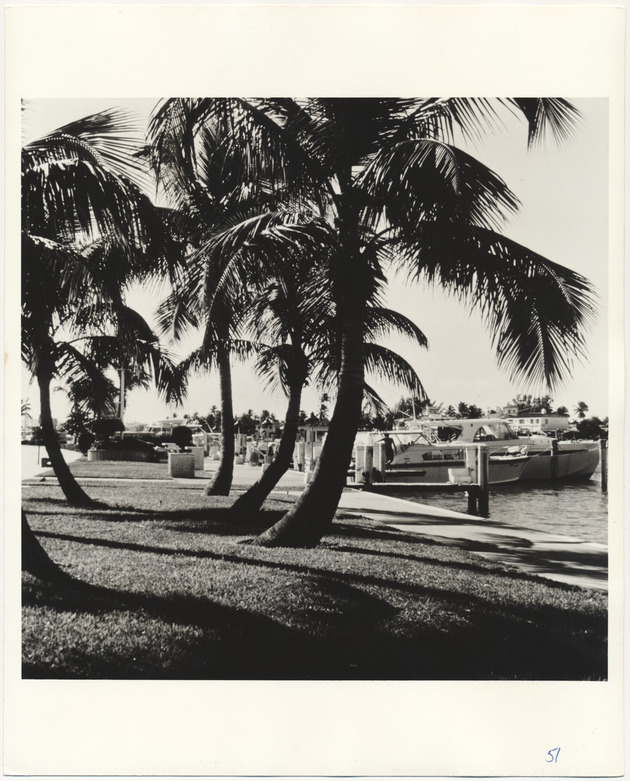 View of marina - Recto Photograph