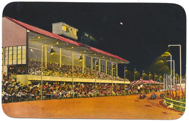 Greyhound Racing is a popular sport in Miami Florida - Recto