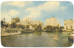 Miami's Beautiful Skyline from Miami River