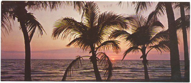 The End of a Perfect Day - Recto