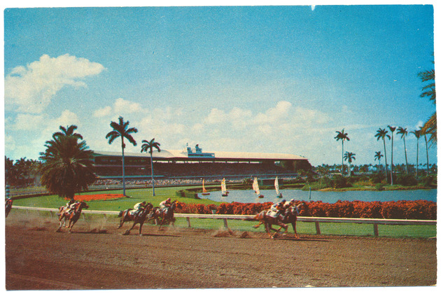 On the Turn, at Beatiful Gulfstream Park - Recto