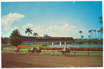 On the Turn, at Beatiful Gulfstream Park
