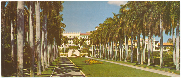 Lovely Royal Palm Trees at the Entrance to a Magnificent Estate - Recto