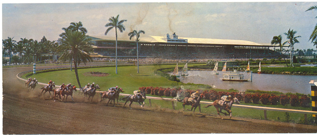 Thrilling Action at the Clubhouse Turn at Gulfstream Park, Hallandale, Florida - Recto
