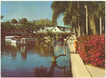 A Tropical Florida View of famous Silver Springs