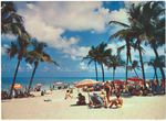 A Lovely Florida Beach