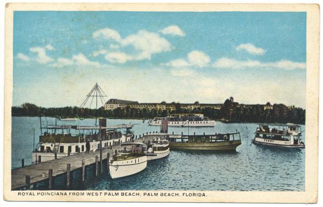 Royal Poinciana from West Palm Beach, Palm Beach, Florida - Postcard, recto: Royal Ponciana from West Palm Beach, Palm Beach, Florida