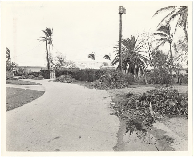 Star Island Storm Damage - Recto Photograph