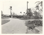 Star Island Storm Damage