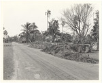 Star Island Storm Damage