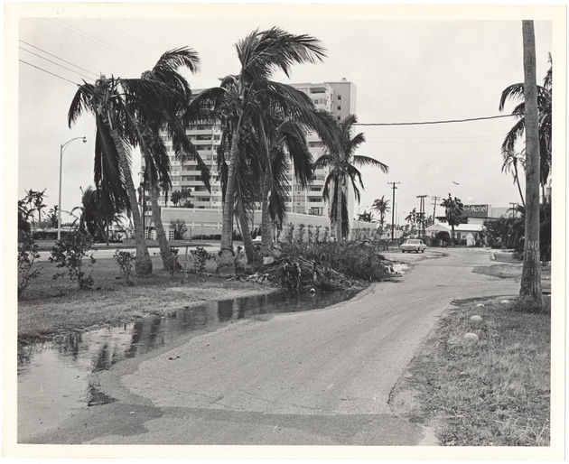 Belle Island Storm Damage - Recto Photograph
