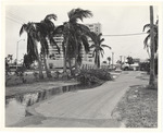 Belle Island Storm Damage