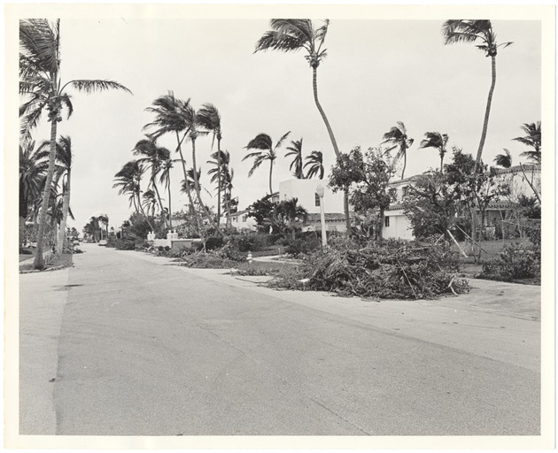 Rivo Alto Island Storm Damage - Recto Photograph
