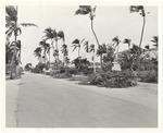 Rivo Alto Island Storm Damage