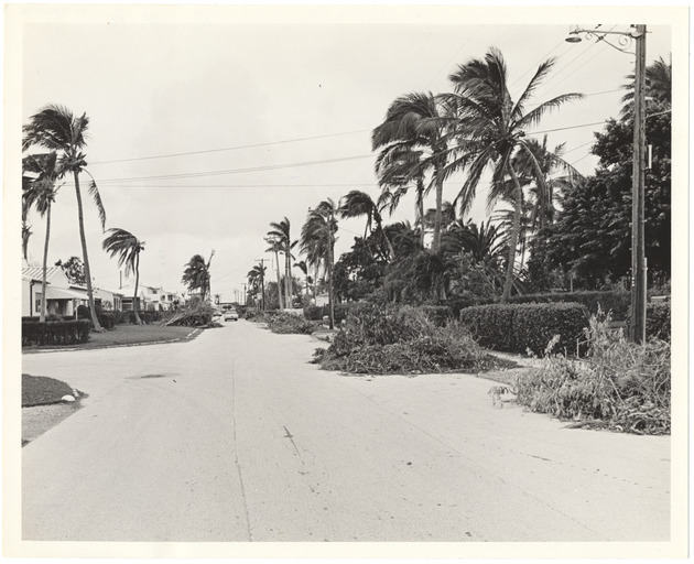 Rivo Alto Storm Damage - Recto Photograph
