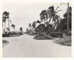 Rivo Alto Storm Damage