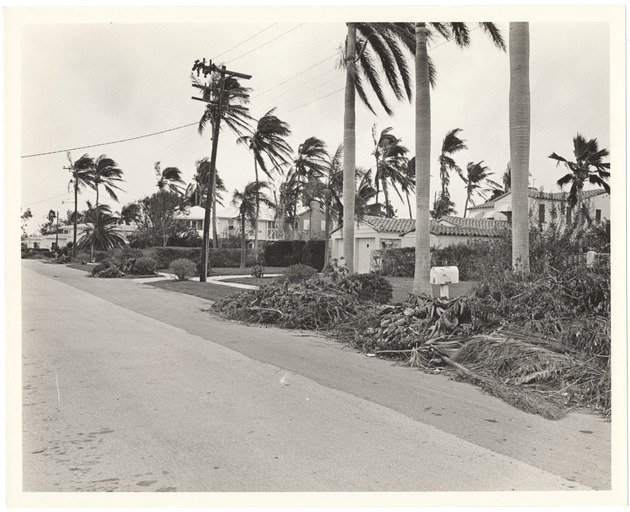 Di Lido Island Storm Damage - Recto Photograph