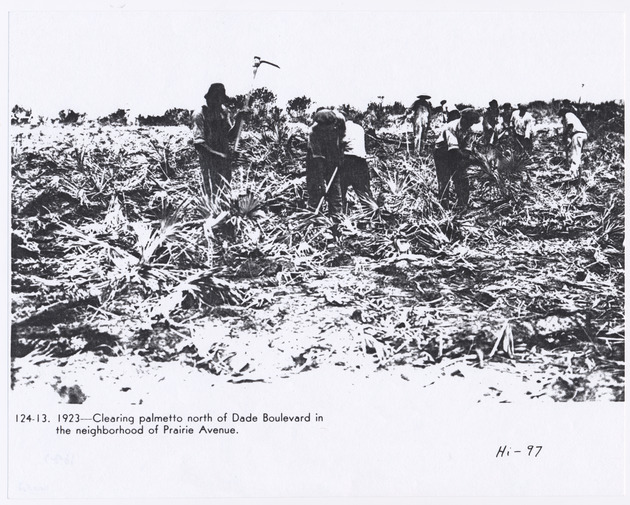 Clearing palmetto north of Dade Boulevard