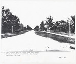 Looking west on Lincoln Road