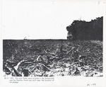Polo fields were located in the foreground and the Nautilus Hotel was built near the location of the dredge
