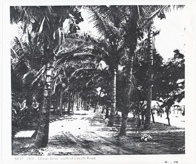 Ocean Drive south of Lincoln Road