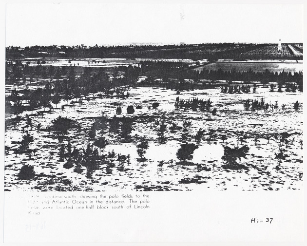 Looking south showing the polo fields to the right and Atlantic Ocean in the distance