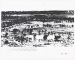 [1919] Looking south showing the polo fields to the right and Atlantic Ocean in the distance