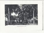 MISSING THUMBNAIL