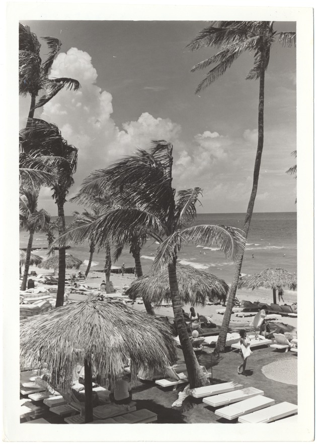 Miami Beach Promotional Hotel Pool Photos - 831_1_recto