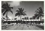 View of hotel pool and hotel guests swimming