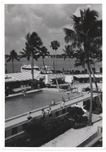 View of Flamingo hotel pool and the bay