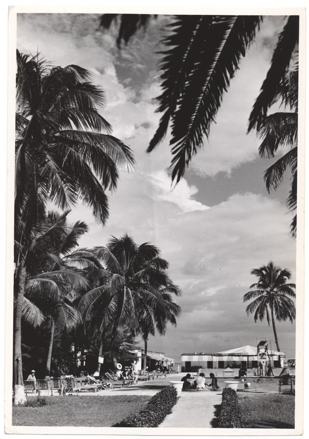 View of hotel pool and hotel guests
