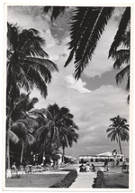 View of hotel pool and hotel guests